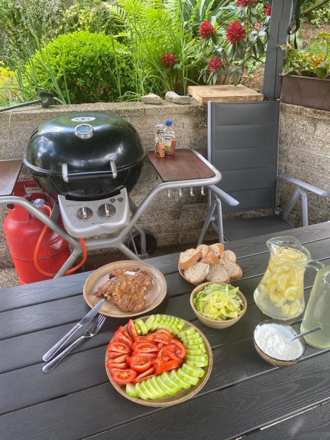 Ubytovani Pod Cimburkem Mestecko Trnavka Exterior foto